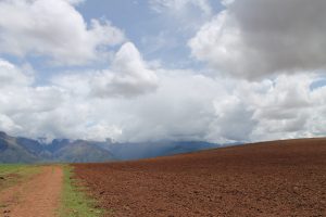Farm field in Maras Cusco