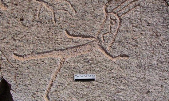 Toro Muerto Petroglyphs