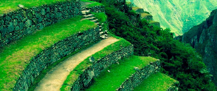 Andean terraces – Machu Picchu